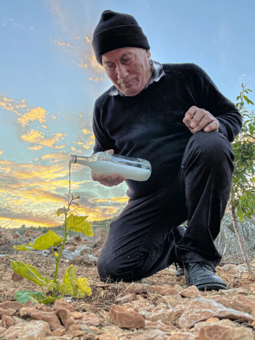 À Zahlé, même les racines s’abreuvent d’arak